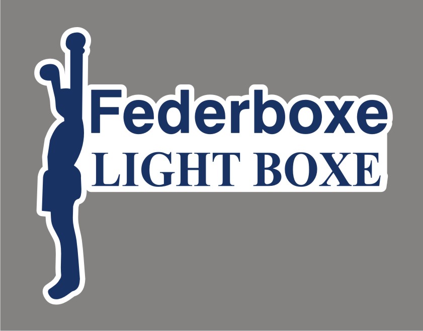 Light Boxe: A Grugliasco il 21 Dicembre il 1° Torneo di Natale 