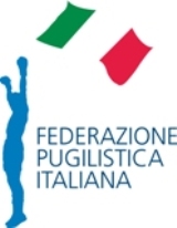 Risultanze Conferenza dei Presidenti Regionali FPI - Rimini 11 maggio 2013