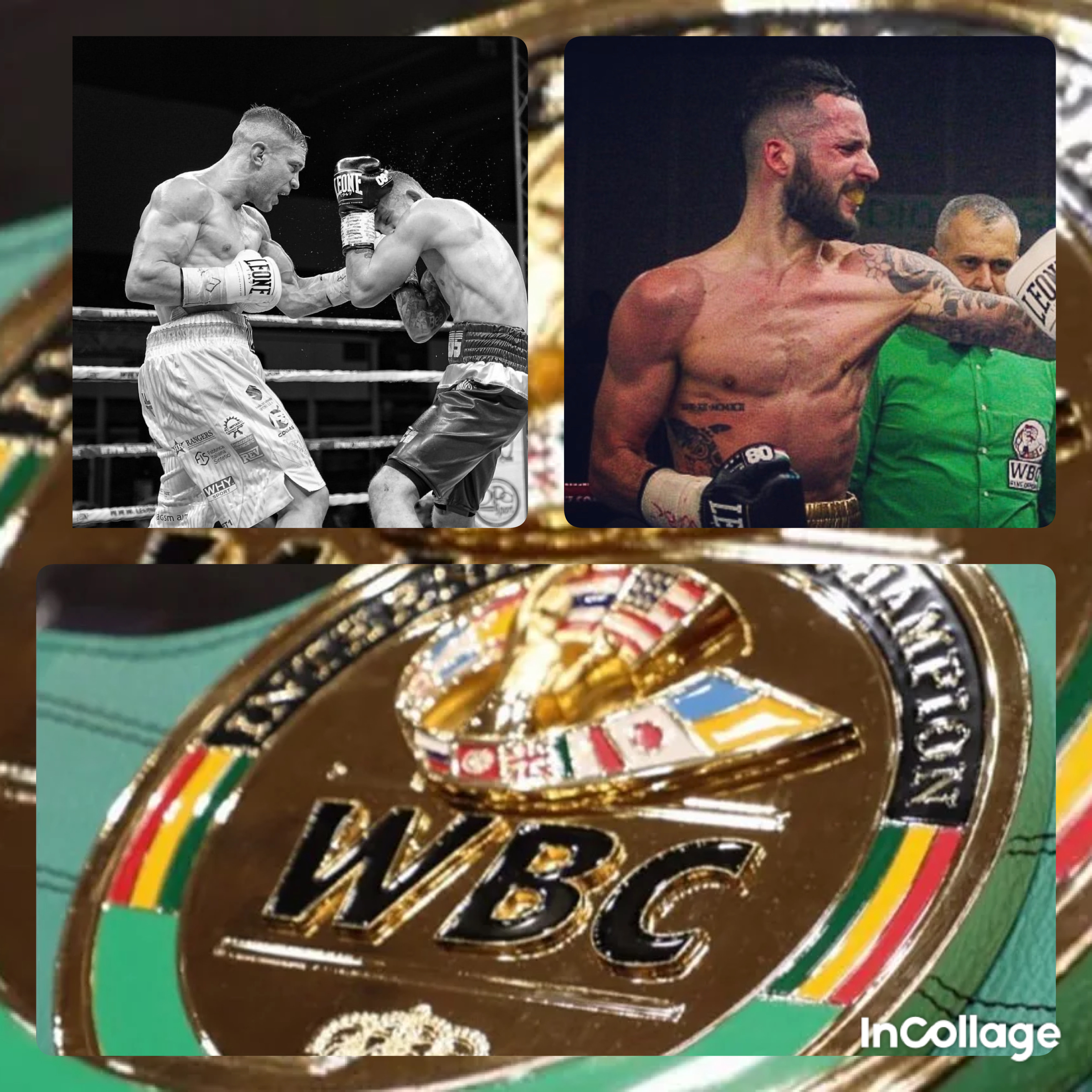 Il 17 novembre p.v. a Rovigo Tassi vs Rigoldi per il WBC Internazionale PIUMA