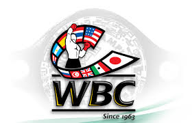 #LegaProBoxe - il 30 Gennaio a Londra Titolo Internazionale WBC Ward vs Pisanti