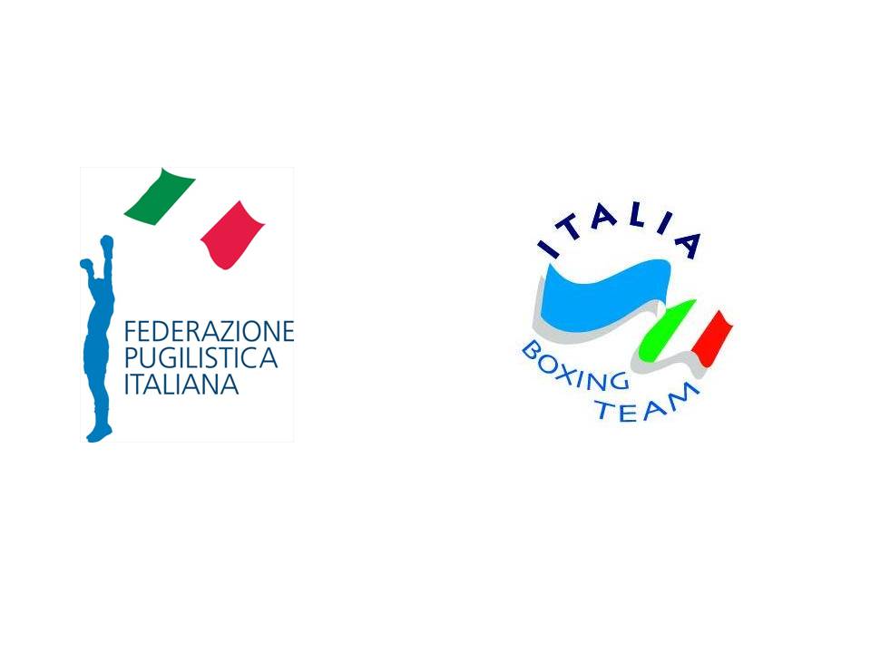 Logo FPI IBT 2013