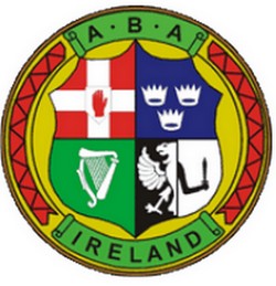 La Nazionale Italiana Youth a Dublino dal 21 al 25 luglio 2011