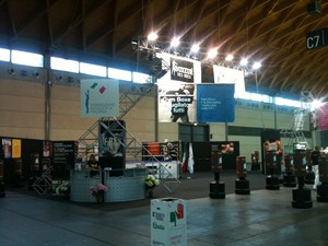 GYM BOXE & BOXEUR DES RUES A RIMINIWELLNESS 2011. Dal 12 al 15 maggio alla Fiera di Rimini.