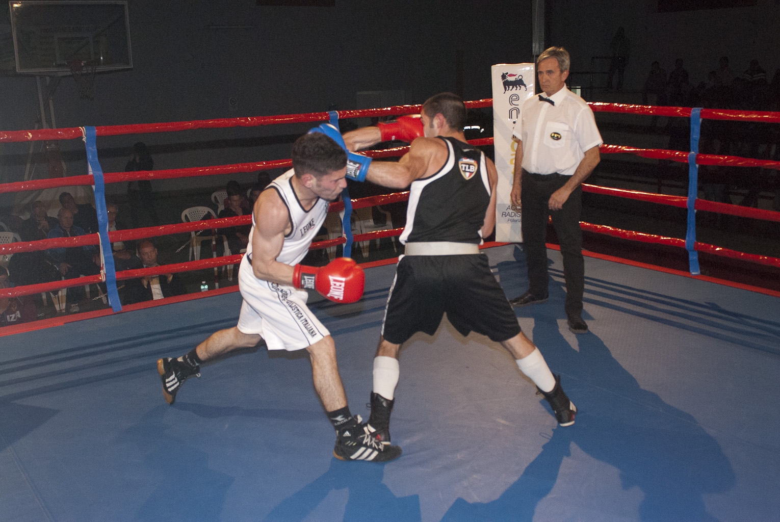 TLB Day 2: SUL RING DI RIONERO IN VULTURE, I LUPI BRIGANTI, SI IMPONGONO SULLE PANTERE ARAGONESI, CON IL PUNTEGGIO FINALE DI 13-3