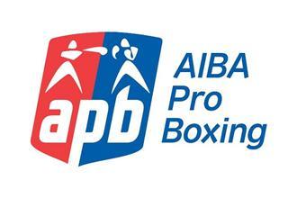 APB Logo