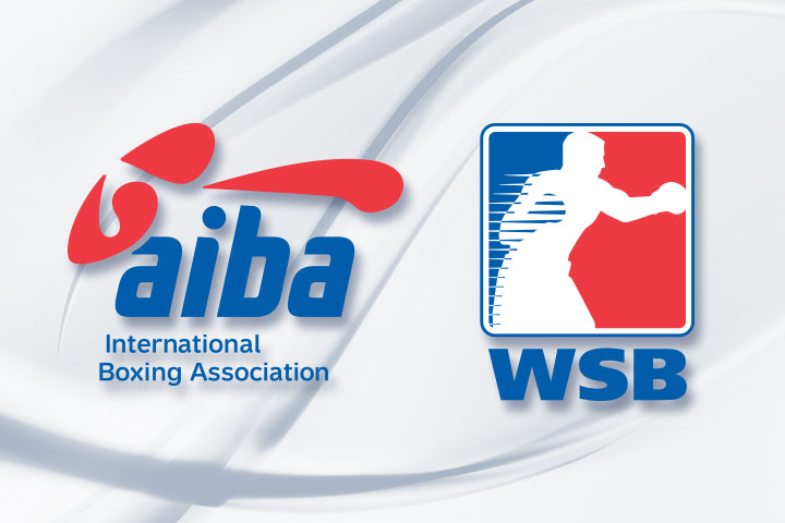 Il Presidente AIBA ha nominato i nuovi componenti della Commissione WSB