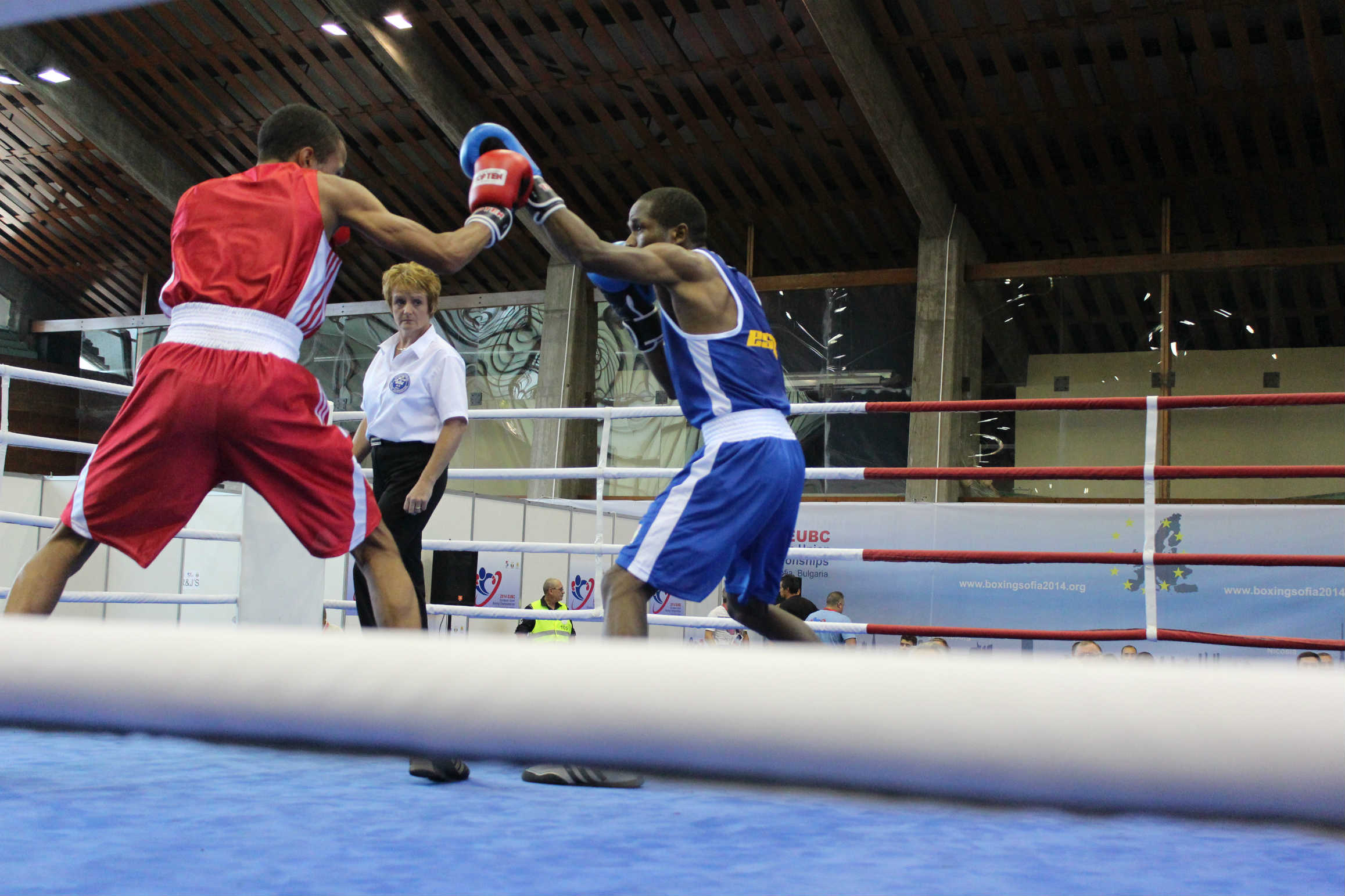 EUBC EU Boxing Championships #Sofia14 - Day 7 - Mangiacapre, Vianello e Manfredoni in Finale, Cappai si ferma al bronzo. Tutti i match live su sportmedia.tv