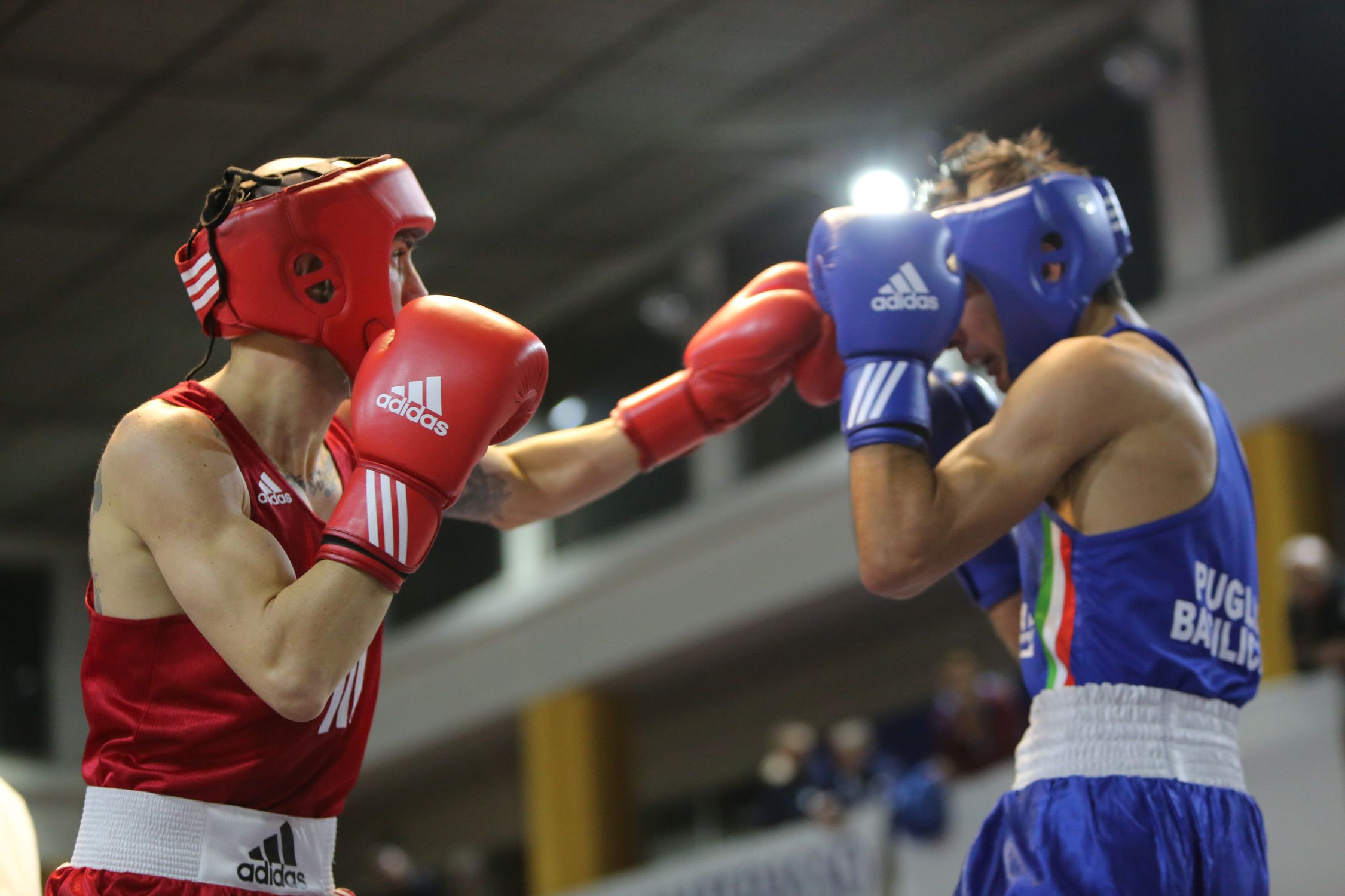 91 Campionati Italiani Elite Galliate 2013 Day 4: Completato il Tabellone delle Semifinali, domani dalle 16 si boxa per le Finali di Domenica