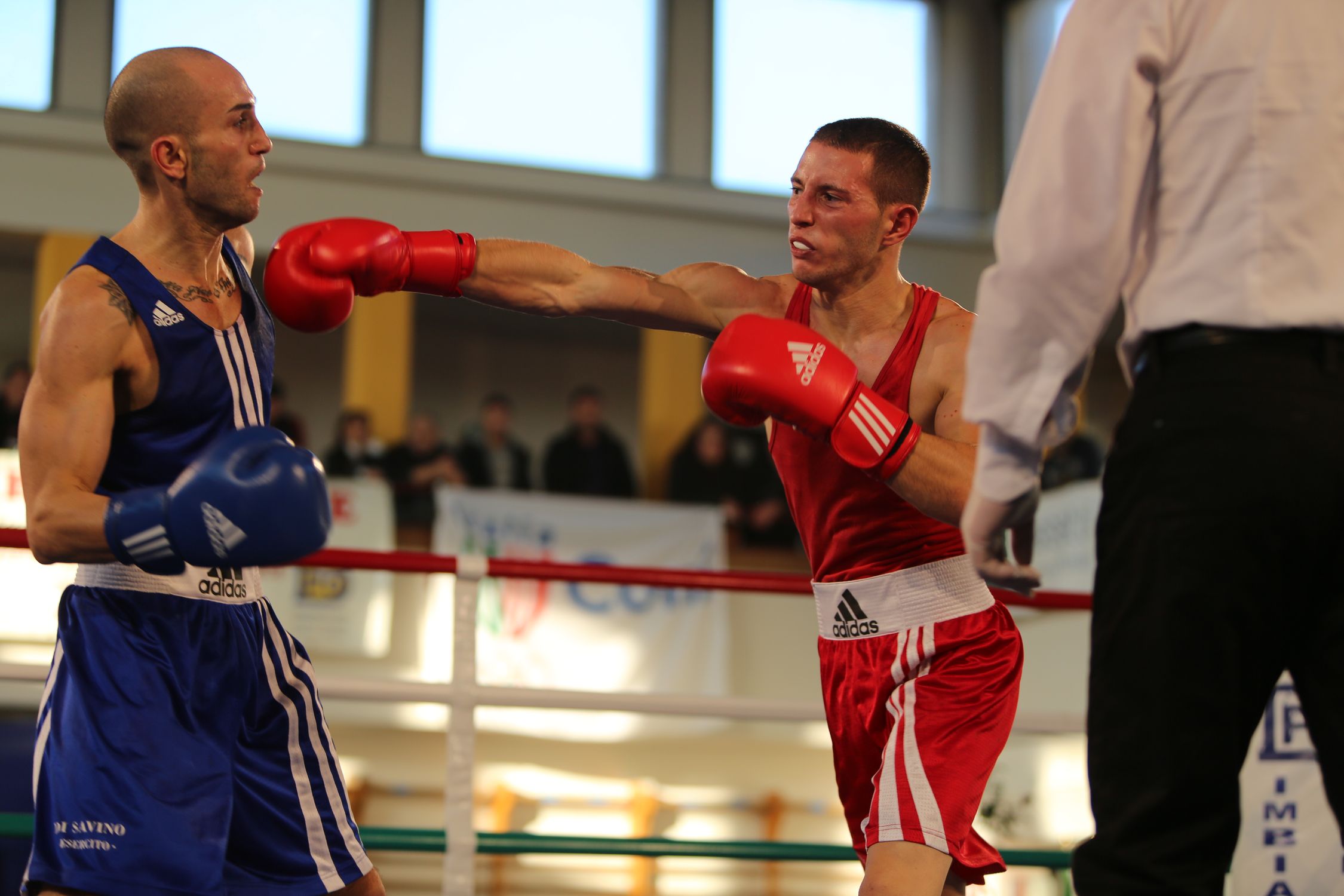 91 Italian Elite Boxing Champs Galliate 2013 FINAL DAY: Ecco i nuovi Campioni d'Italia