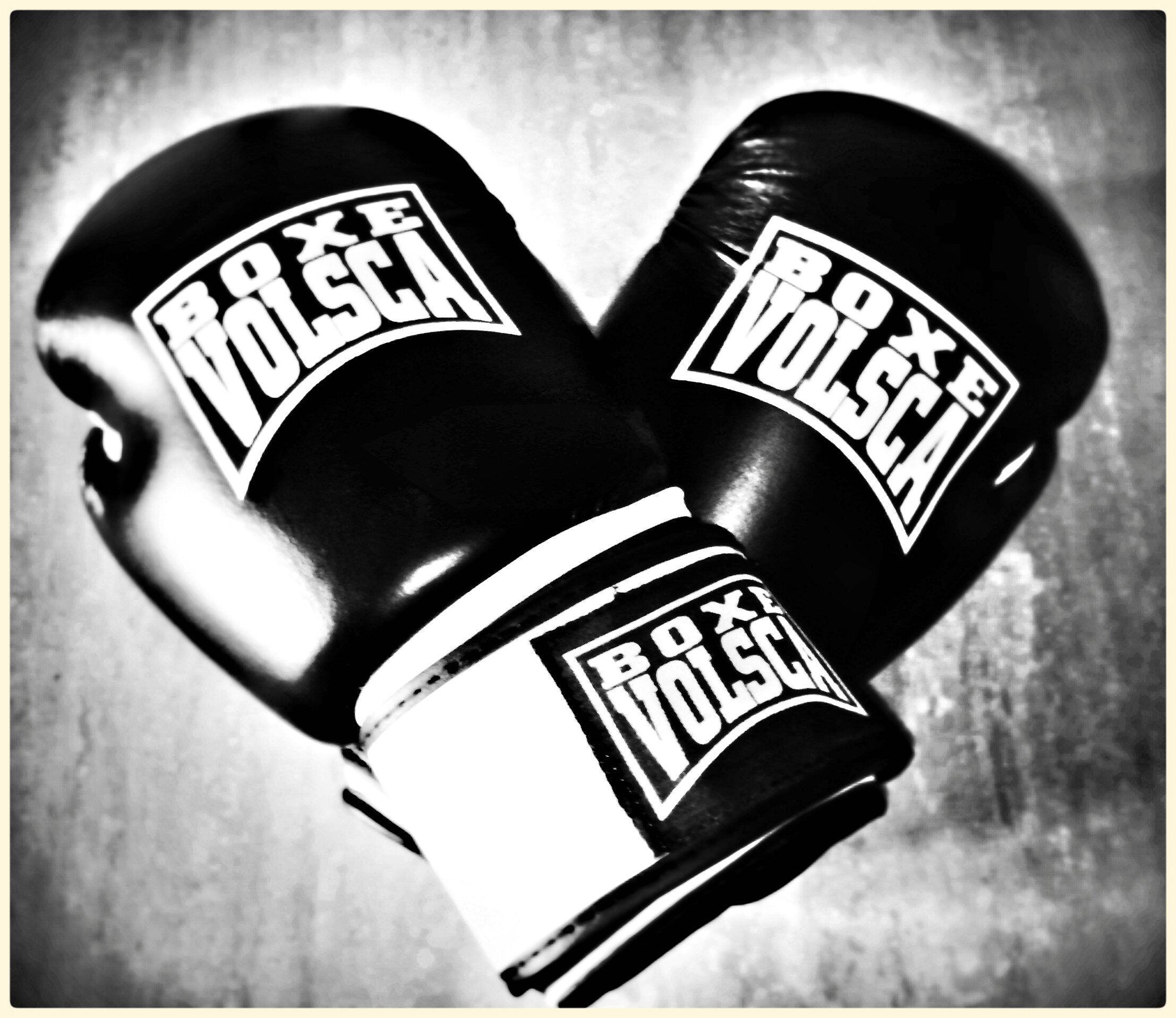 la Pugilistica Volsca torna a Lariano, paese dello sport