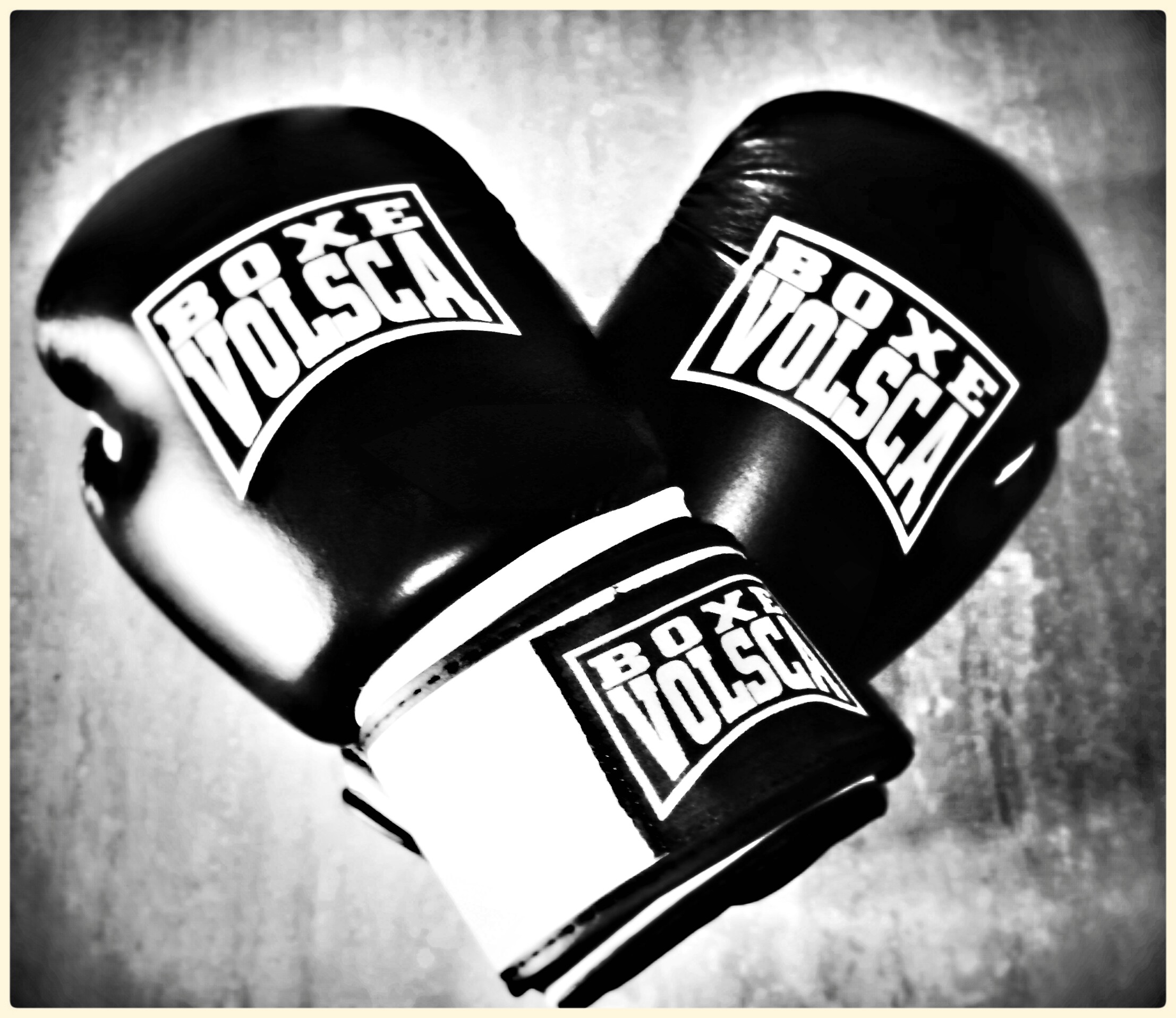 Boxe Volscia2