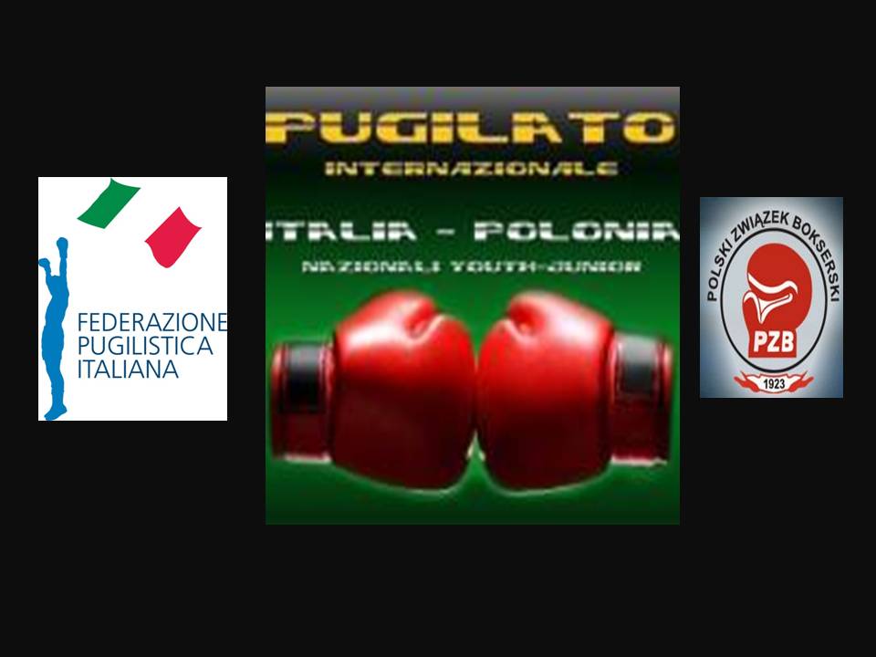 Poster_Poland_vs_Italy_June_2012
