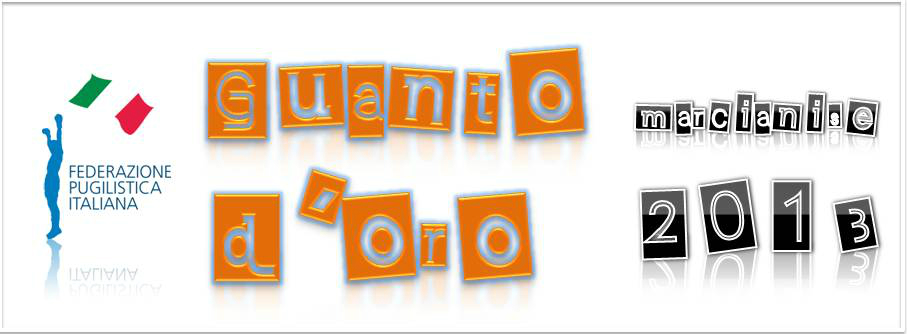 banner guanto doro 2013