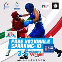 LOCANDINA SPARRING IO copia.jpg
