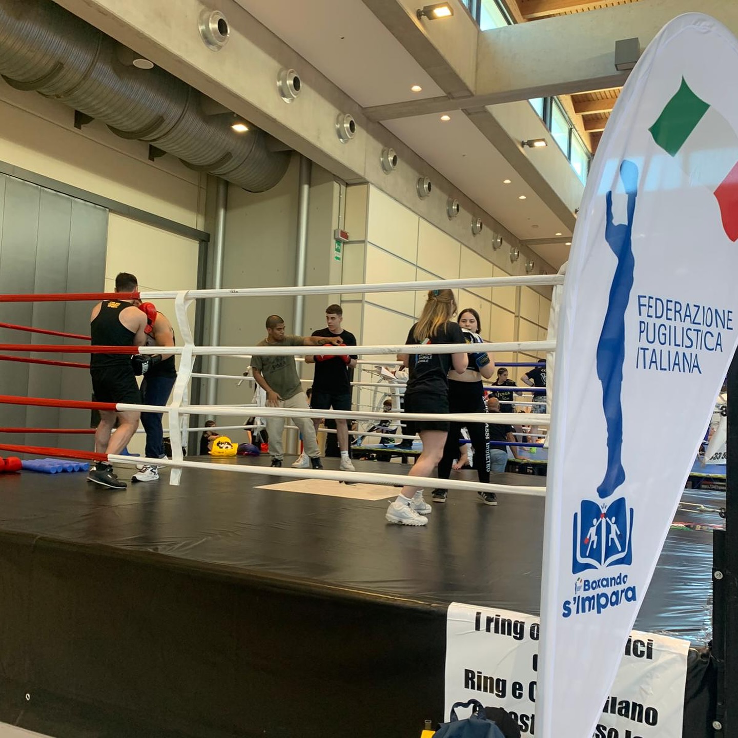 RIMINI WELLNESS 2025 - 4 GRANDI GIORNATE DI GYM BOXE NELL'AREA FPI 
