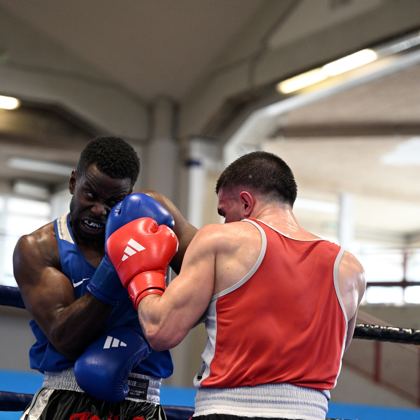 CAMPIONATI ITALIANI ASSOLUTI M/F TRIESTE 2025 - RISULTATI QUARTI - PROGRAMMA SEMIFINALI 