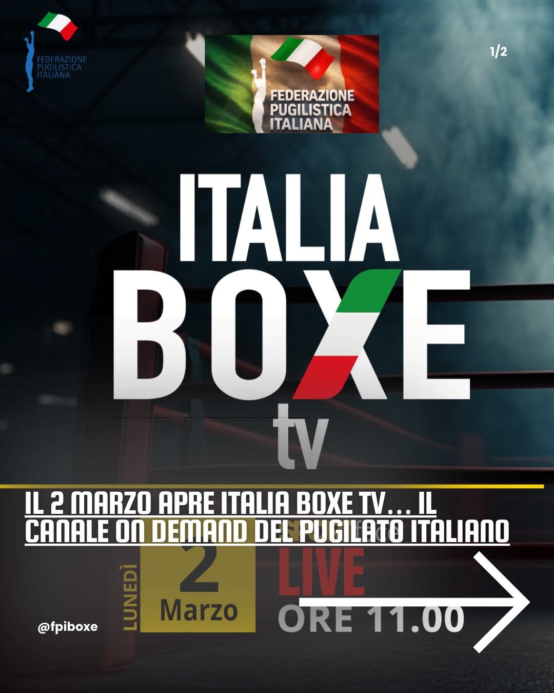DOMANI 2 MARZO ... 110 ANNI DELLA FPI CELEBRATI SU ITALIA BOXE TV - IL CANALE ON DEMAND DEL PUGILATO ITALIANO 