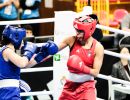 20240903 bustoarsizio boxing female and male 
