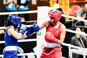 20240903 bustoarsizio boxing female and male 