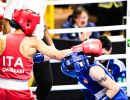 20240903 bustoarsizio boxing female and male 
