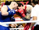 20241103 bustoarsizio boxing female and male 