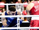 20241103 bustoarsizio boxing female and male 
