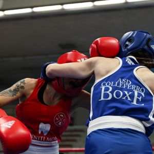 588524262 18540364459036119 n