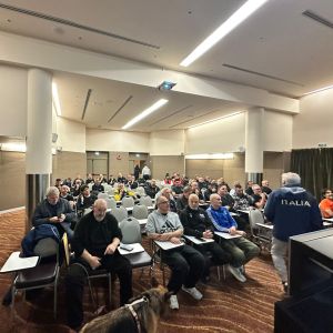 587624176 18535127467036119 n