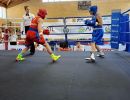 go6gpd9weaa4whp12