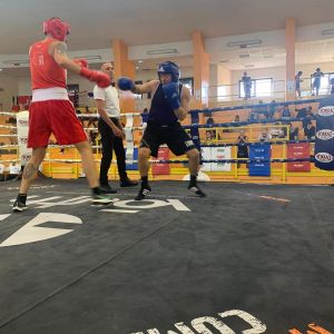 464638606 18460975927036119 n