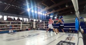 462089007 18456633832036119 n