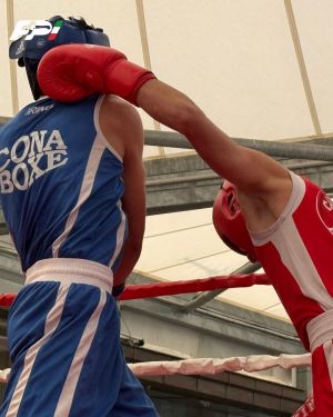 649548358 18562126717036119 n