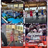 incollage_saveBOXE77
