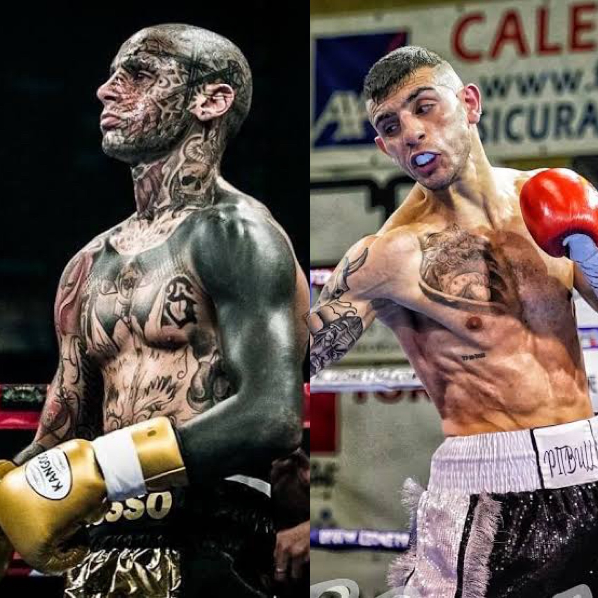 In Italia le sfide Europee di Alessio LoRusso e Cristian Zara - Organizzazione Promo Boxe Italia 