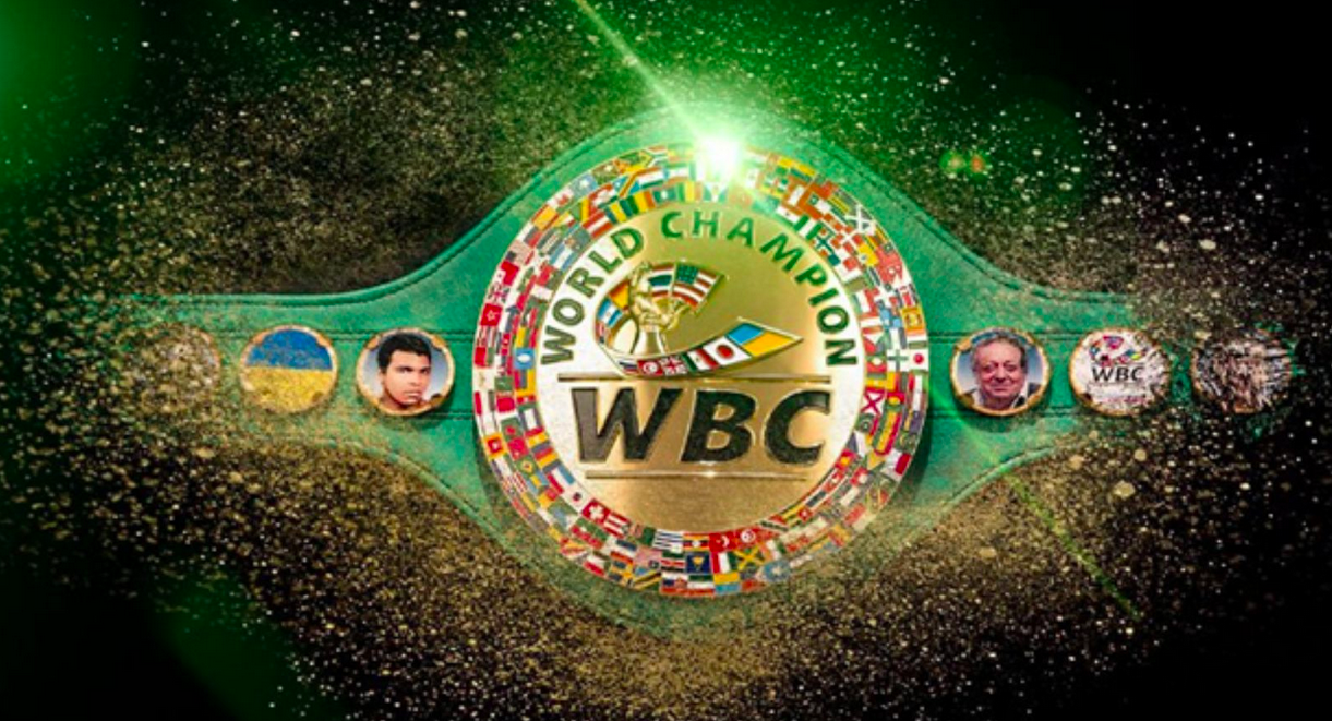 17 i Boxer italiani nelle classifiche World Boxing Council di Dicembre 2024 .