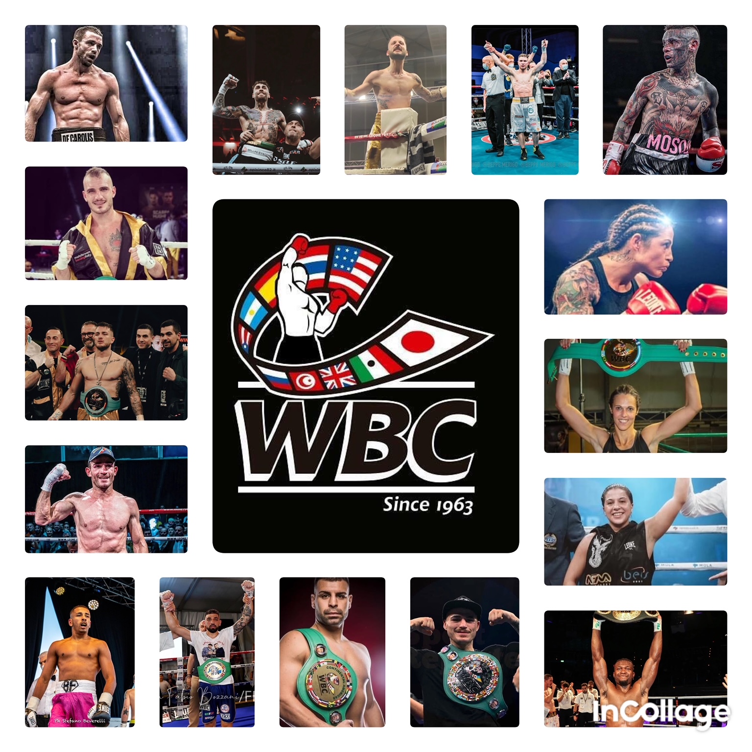 RANKING WBC Aggiornati al 21/8/2023 - Posizioni Boxer Italiani