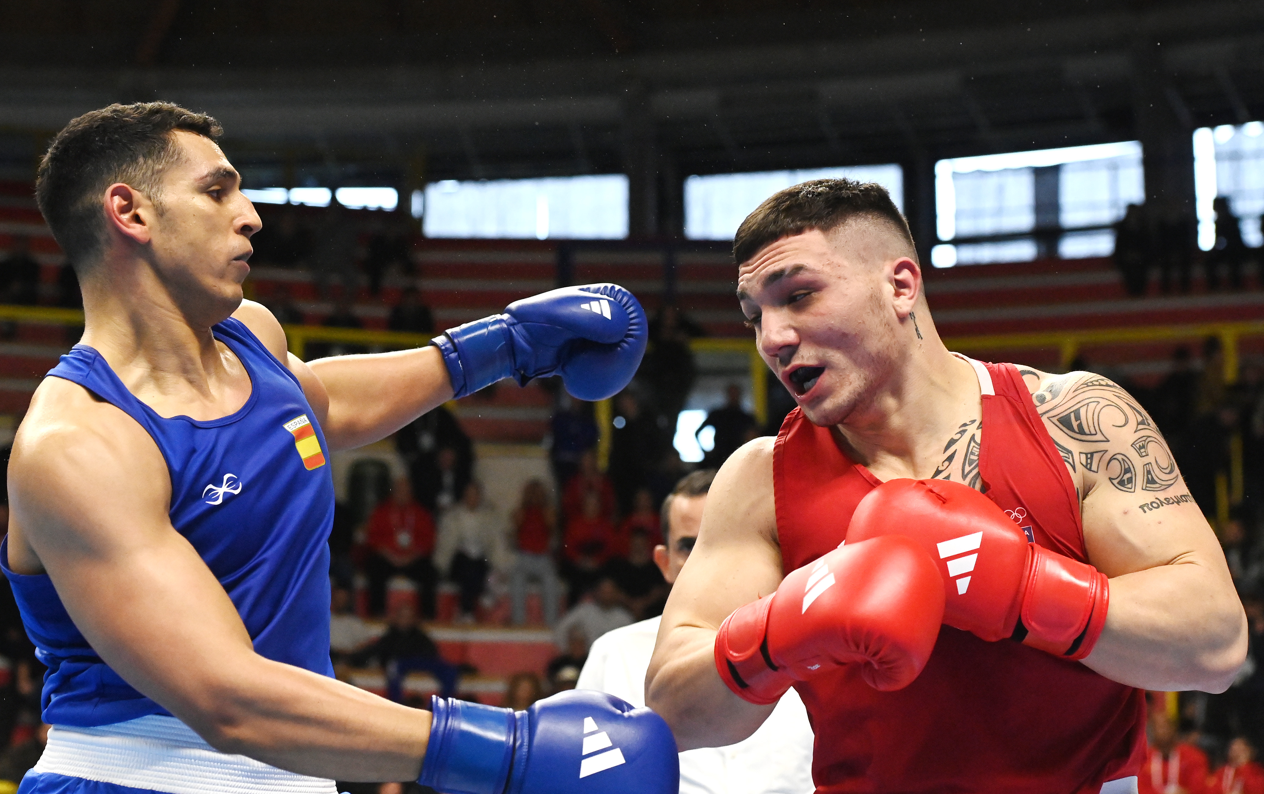 Torneo World Qualifying Tournament - Busto Arsizio 2024:  DAY 6 - LA 66 KG ANGELA CARINI VOLA AGLI 8°. DOMANI 3 AZZURRE E 1 AZZURRO SUL RING