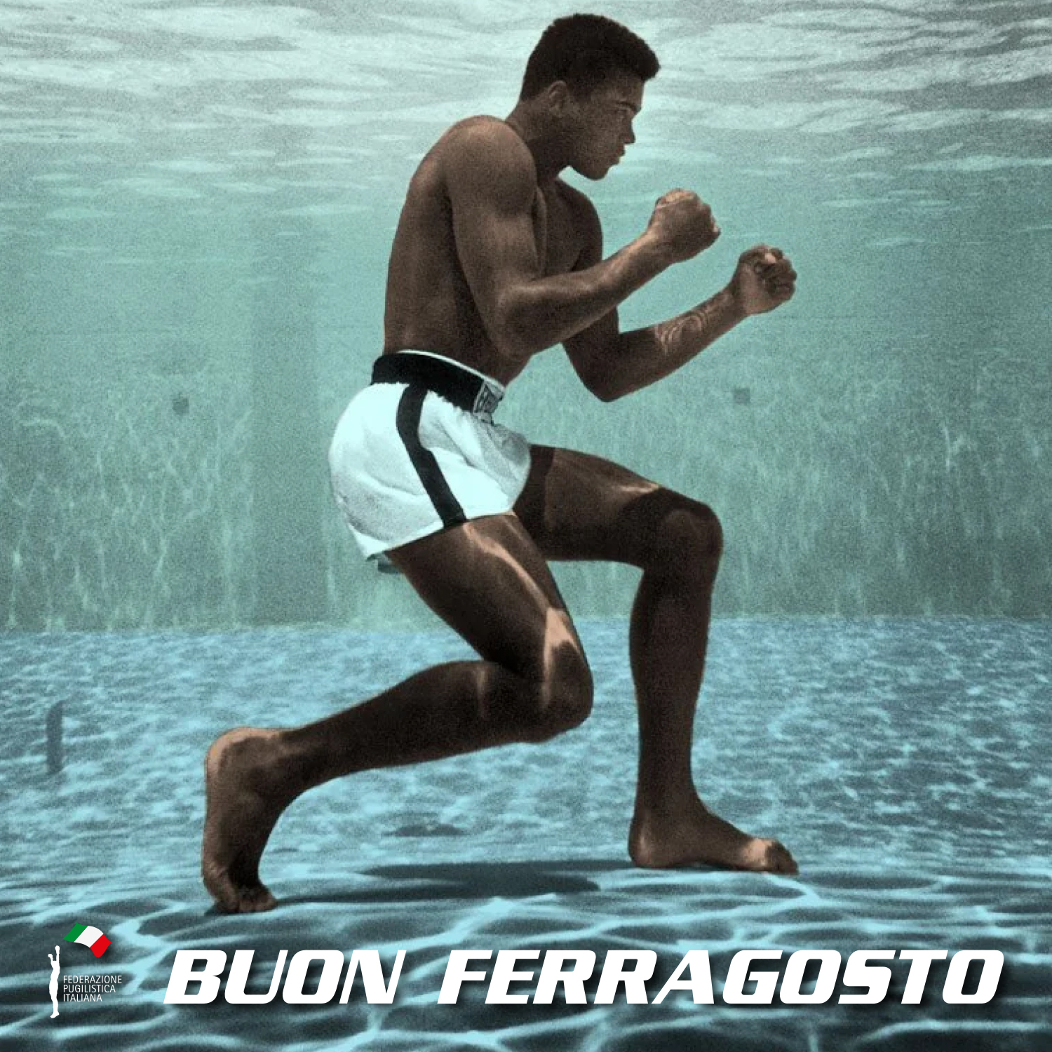 Buon ferragosto dalla FPI 