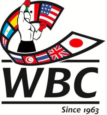 7 i Boxer italiani nelle classifiche WBC Gennaio 2018 #ProBoxing