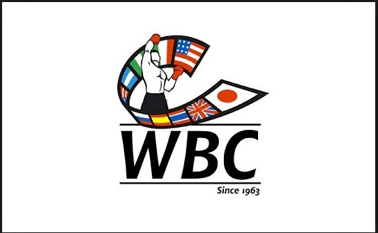 12 Boxer nei Ranking WBC Febbraio 2019 #ProBoxing 