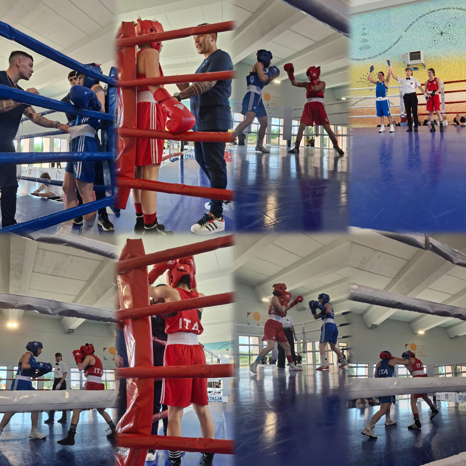 Torneo Nazionale Itaboxing U 23 FEMMINILE - CAIVANO 31/5 1/6 - RISULTATI SEMIFINALI + PROGRAMMA FINALI